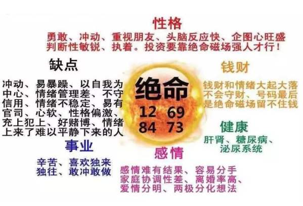 数字能量学绝命磁场